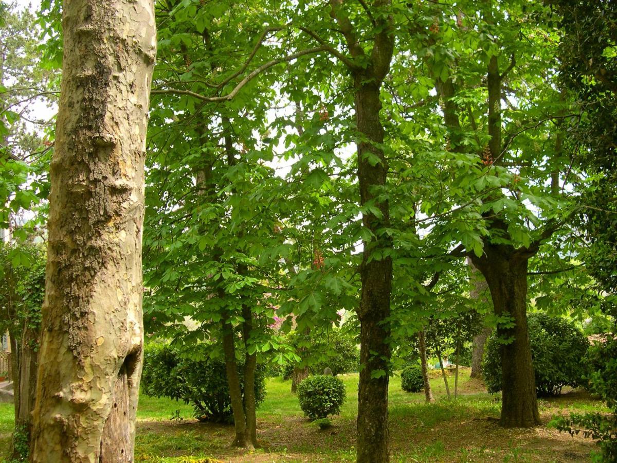 Domaine Du Parais B&B Sospel Esterno foto